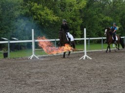 img_5784_web